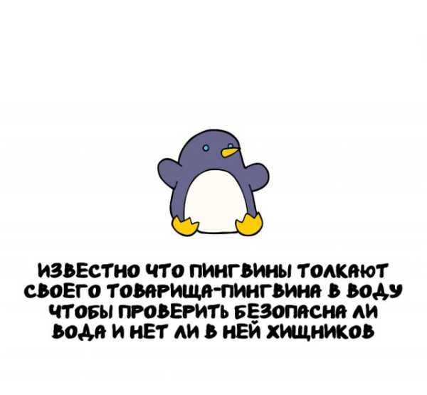 Минута отдыха Интересные короткие факты на все случаи жизни Интересное Минута отдыха Интересные короткие факты на все случаи жизни Интересное