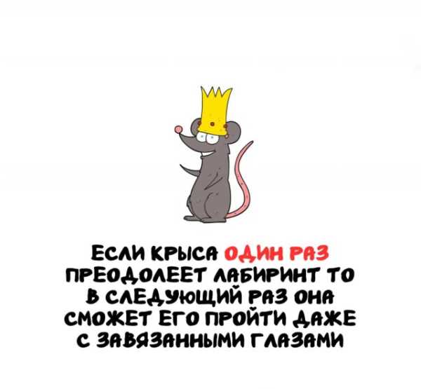Минута отдыха Интересные короткие факты на все случаи жизни Интересное 