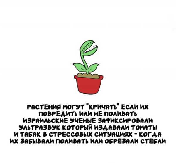 Минута отдыха Интересные короткие факты на все случаи жизни Интересное 