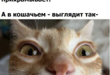 Минута отдыха Мем №1625920 Анекдоты 