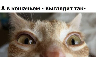 Минута отдыха Мем №1625920 Анекдоты 