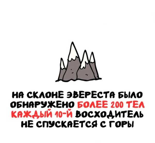 Минута отдыха Интересные короткие факты на все случаи жизни Интересное 