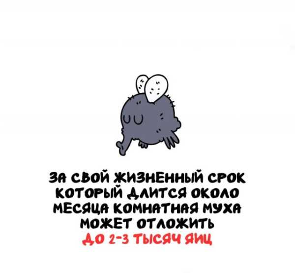 Минута отдыха Интересные короткие факты на все случаи жизни Интересное Минута отдыха Интересные короткие факты на все случаи жизни Интересное
