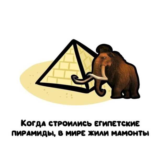 Минута отдыха Интересные короткие факты на все случаи жизни Интересное 