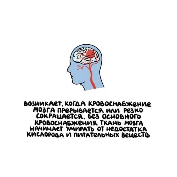 Минута отдыха Интересные короткие факты на все случаи жизни Интересное Минута отдыха Интересные короткие факты на все случаи жизни Интересное