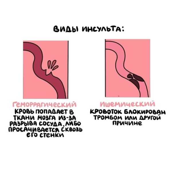 Минута отдыха Интересные короткие факты на все случаи жизни Интересное Минута отдыха Интересные короткие факты на все случаи жизни Интересное