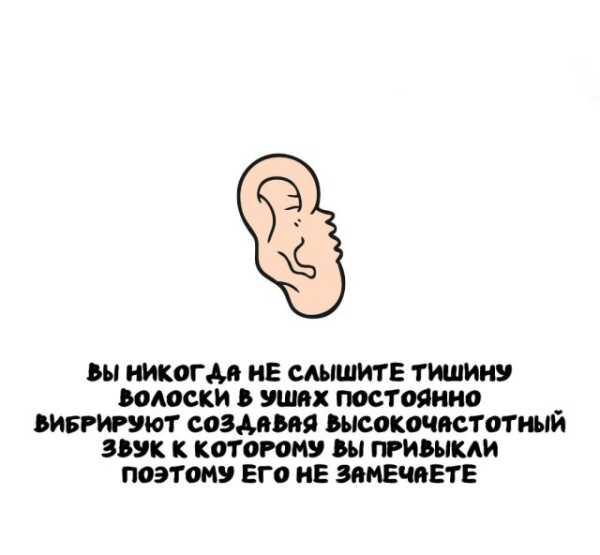 Минута отдыха Интересные короткие факты на все случаи жизни Интересное 