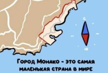 Минута отдыха Интересные короткие факты на все случаи жизни Интересное 