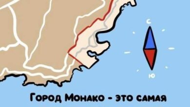 Минута отдыха Интересные короткие факты на все случаи жизни Интересное 