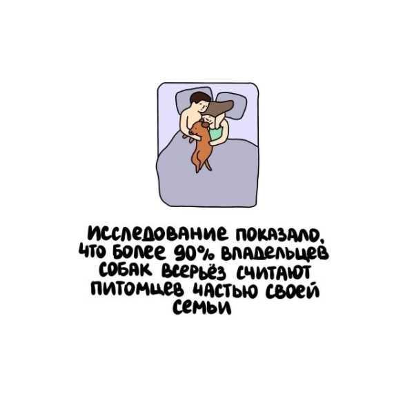 Минута отдыха Интересные короткие факты на все случаи жизни Интересное 