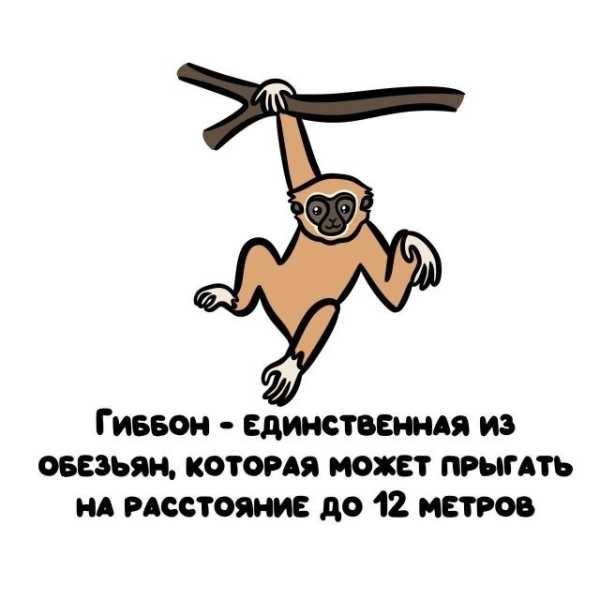 Минута отдыха Интересные короткие факты на все случаи жизни Интересное Минута отдыха Интересные короткие факты на все случаи жизни Интересное