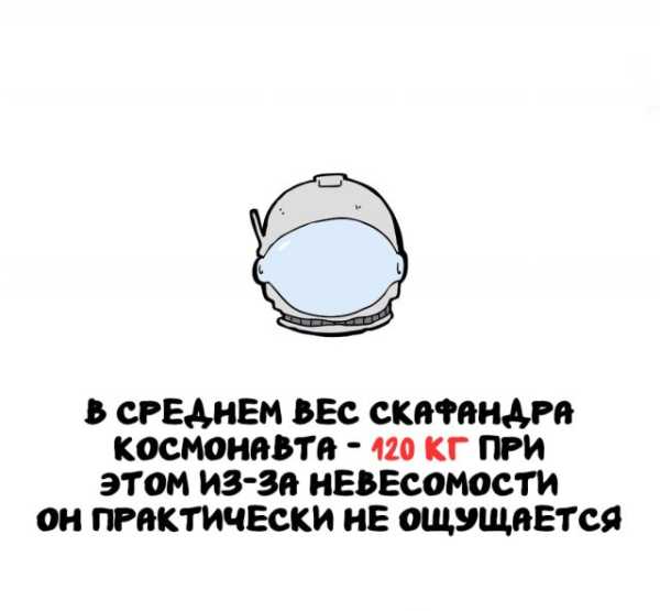 Минута отдыха Интересные короткие факты на все случаи жизни Интересное Минута отдыха Интересные короткие факты на все случаи жизни Интересное