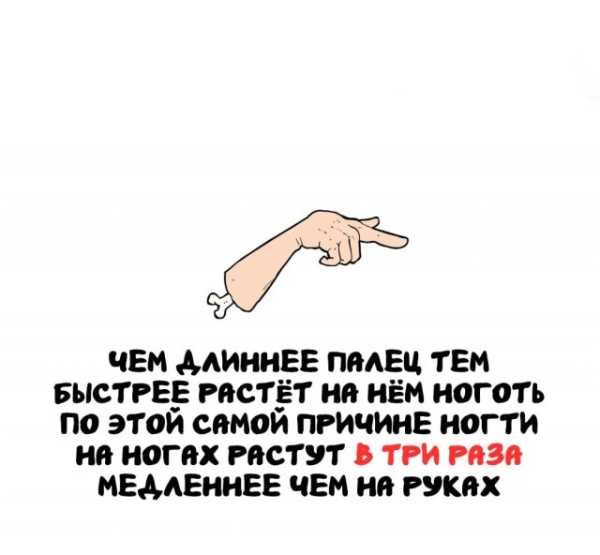 Минута отдыха Интересные короткие факты на все случаи жизни Интересное Минута отдыха Интересные короткие факты на все случаи жизни Интересное