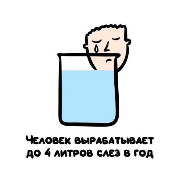 Минута отдыха Интересные короткие факты на все случаи жизни Интересное 