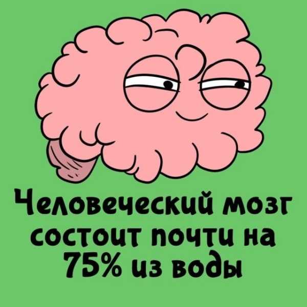 Минута отдыха Интересные короткие факты на все случаи жизни Интересное Минута отдыха Интересные короткие факты на все случаи жизни Интересное