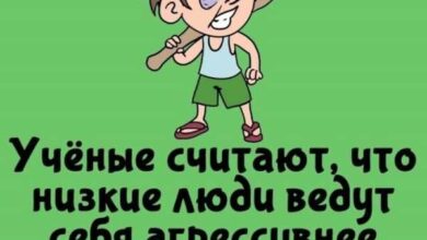 Минута отдыха Интересные короткие факты на все случаи жизни Интересное 