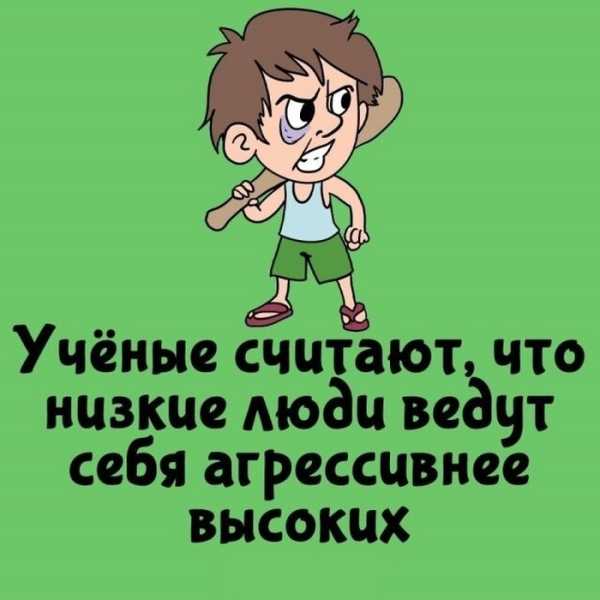 Минута отдыха Интересные короткие факты на все случаи жизни Интересное Минута отдыха Интересные короткие факты на все случаи жизни Интересное