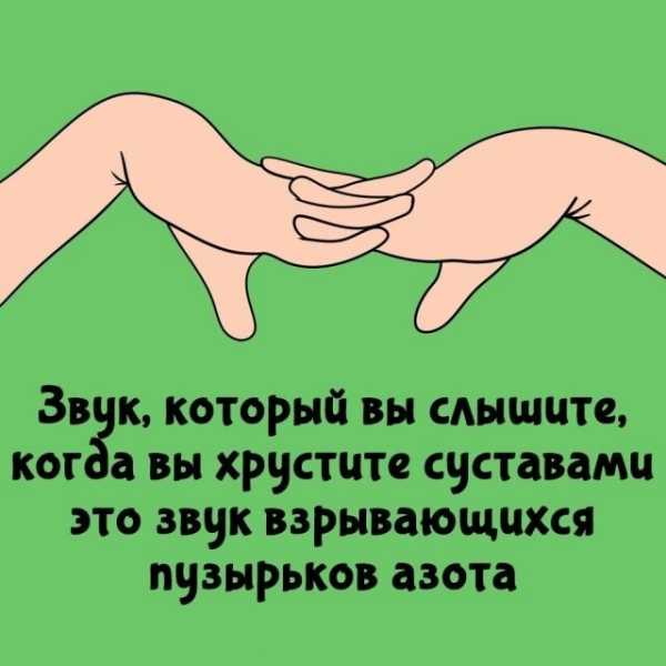 Минута отдыха Интересные короткие факты на все случаи жизни Интересное Минута отдыха Интересные короткие факты на все случаи жизни Интересное