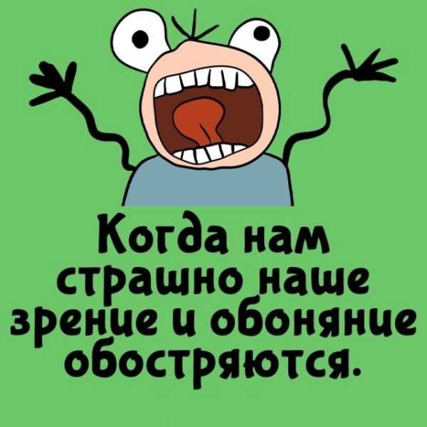 Минута отдыха Интересные короткие факты на все случаи жизни Интересное Минута отдыха Интересные короткие факты на все случаи жизни Интересное