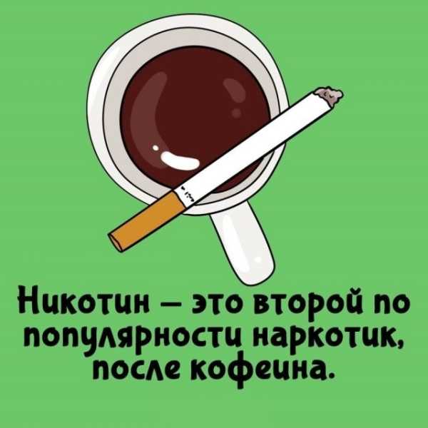 Минута отдыха Интересные короткие факты на все случаи жизни Интересное Минута отдыха Интересные короткие факты на все случаи жизни Интересное