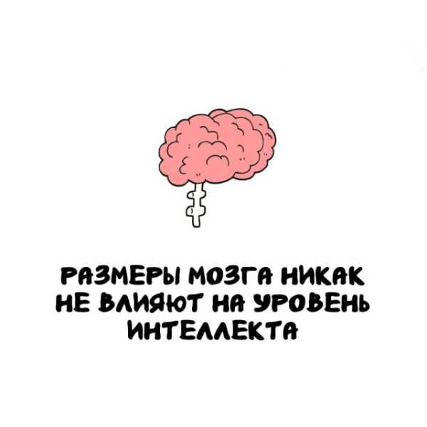 Минута отдыха Интересные короткие факты на все случаи жизни Интересное 