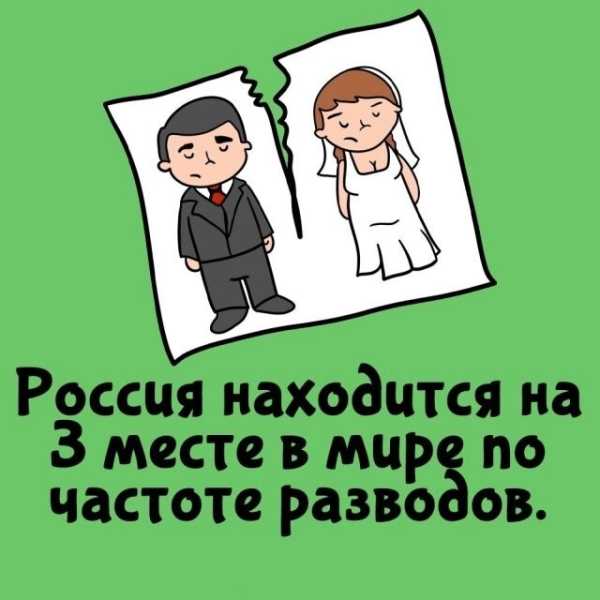 Минута отдыха Интересные короткие факты на все случаи жизни Интересное Минута отдыха Интересные короткие факты на все случаи жизни Интересное