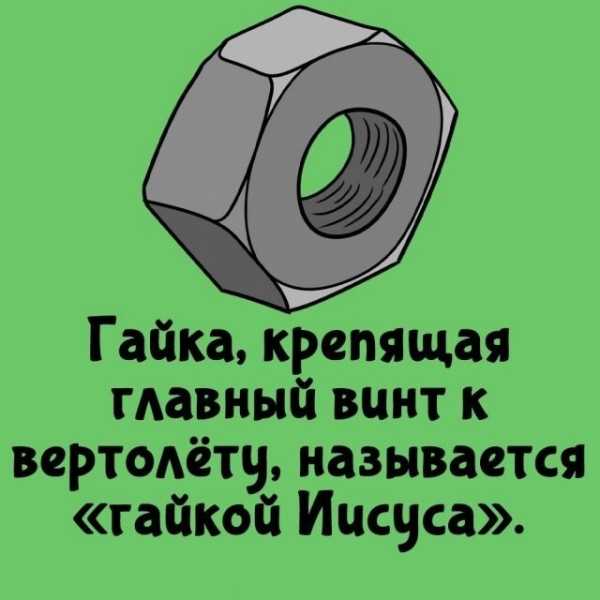 Минута отдыха Интересные короткие факты на все случаи жизни Интересное Минута отдыха Интересные короткие факты на все случаи жизни Интересное