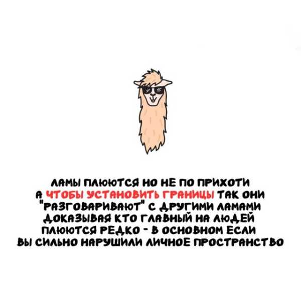 Минута отдыха Интересные короткие факты на все случаи жизни Интересное 