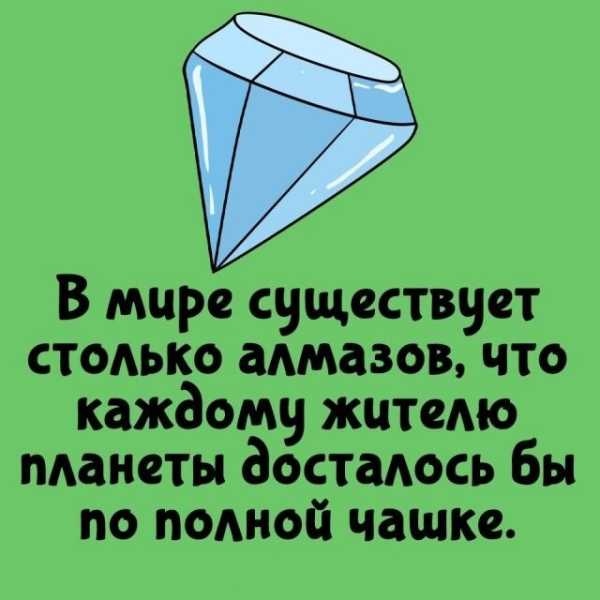 Минута отдыха Интересные короткие факты на все случаи жизни Интересное Минута отдыха Интересные короткие факты на все случаи жизни Интересное