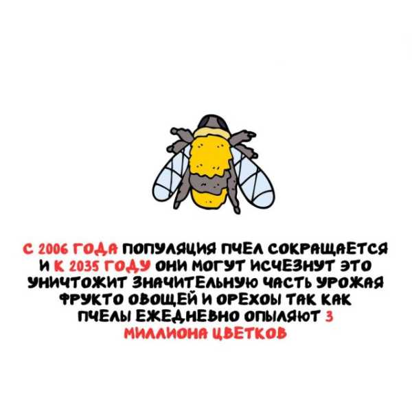 Минута отдыха Интересные короткие факты на все случаи жизни Интересное 