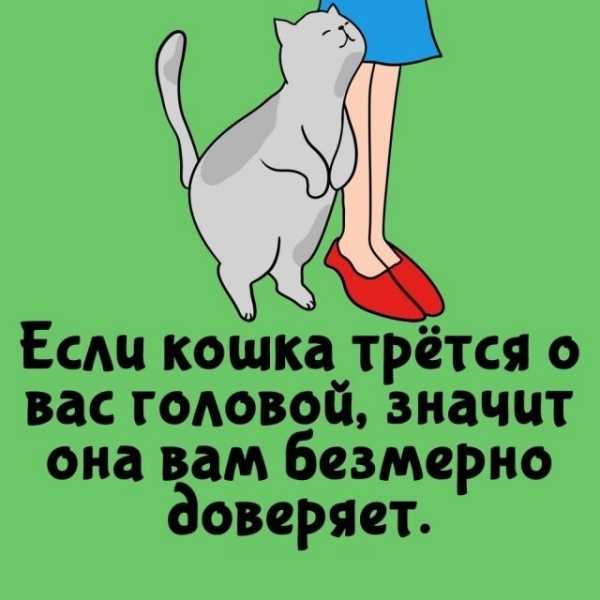 Минута отдыха Интересные короткие факты на все случаи жизни Интересное Минута отдыха Интересные короткие факты на все случаи жизни Интересное