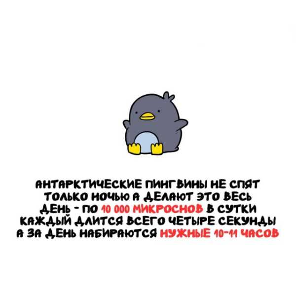 Минута отдыха Интересные короткие факты на все случаи жизни Интересное 