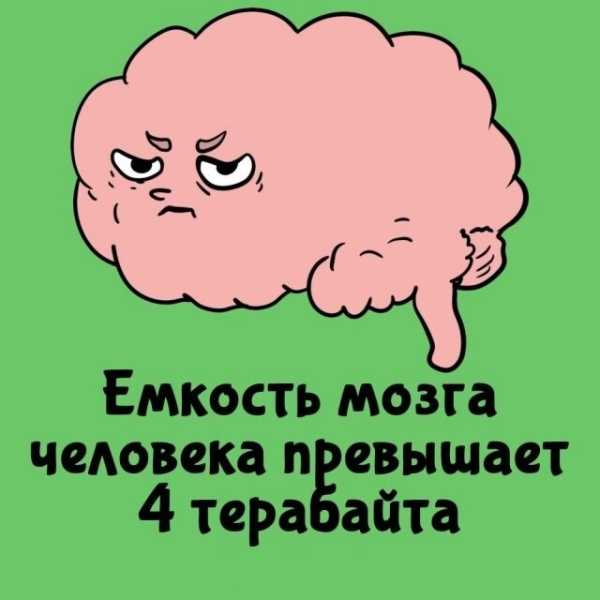 Минута отдыха Интересные короткие факты на все случаи жизни Интересное Минута отдыха Интересные короткие факты на все случаи жизни Интересное