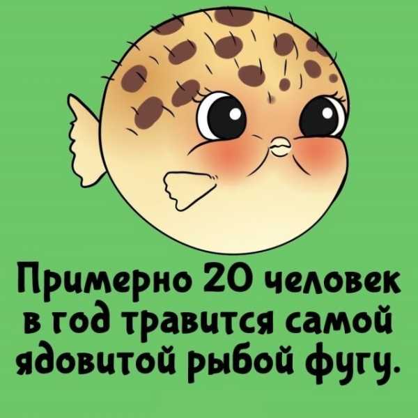 Минута отдыха Интересные короткие факты на все случаи жизни Интересное Минута отдыха Интересные короткие факты на все случаи жизни Интересное