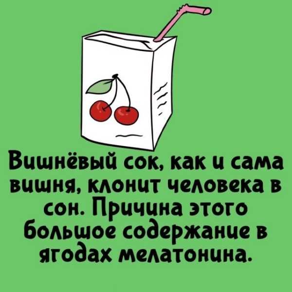Минута отдыха Интересные короткие факты на все случаи жизни Интересное Минута отдыха Интересные короткие факты на все случаи жизни Интересное