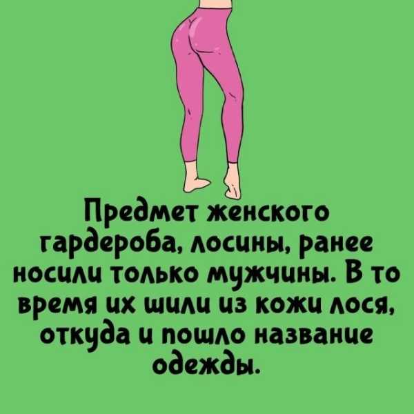 Минута отдыха Интересные короткие факты на все случаи жизни Интересное Минута отдыха Интересные короткие факты на все случаи жизни Интересное