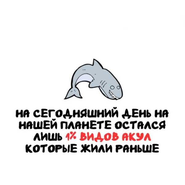 Минута отдыха Интересные короткие факты на все случаи жизни Интересное 