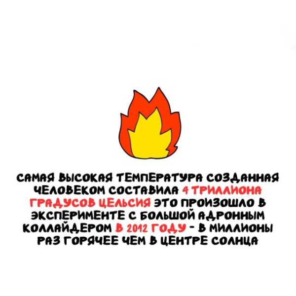 Минута отдыха Интересные короткие факты на все случаи жизни Интересное 