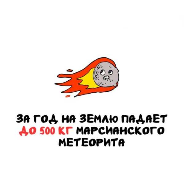 Минута отдыха Интересные короткие факты на все случаи жизни Интересное 