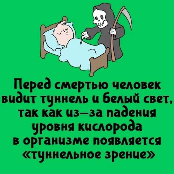 Минута отдыха Интересные короткие факты на все случаи жизни Интересное Минута отдыха Интересные короткие факты на все случаи жизни Интересное