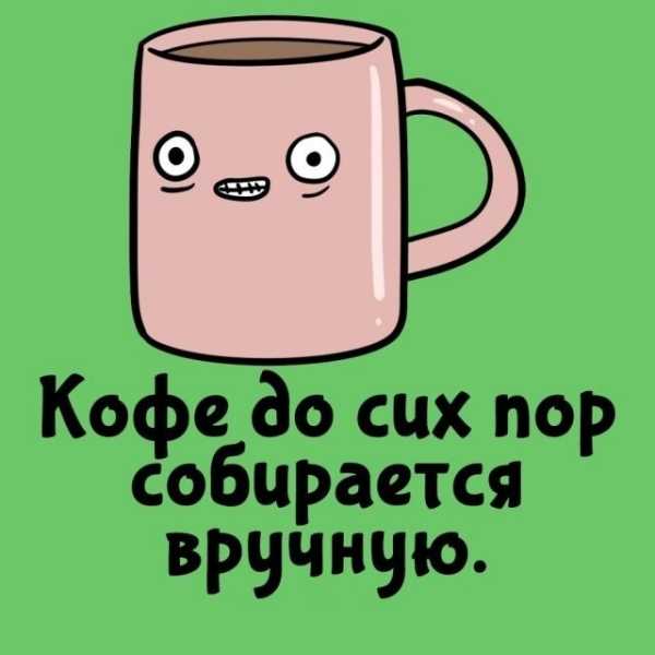 Минута отдыха Интересные короткие факты на все случаи жизни Интересное Минута отдыха Интересные короткие факты на все случаи жизни Интересное