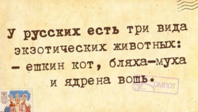 Минута отдыха Мем №1631533 Анекдоты 