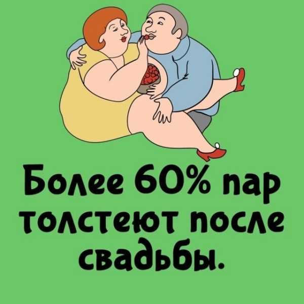 Минута отдыха Интересные короткие факты на все случаи жизни Интересное Минута отдыха Интересные короткие факты на все случаи жизни Интересное