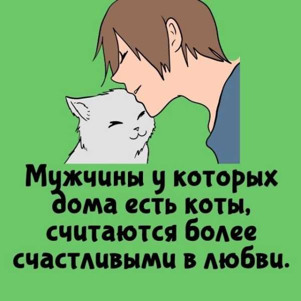 Минута отдыха Интересные короткие факты на все случаи жизни Интересное Минута отдыха Интересные короткие факты на все случаи жизни Интересное