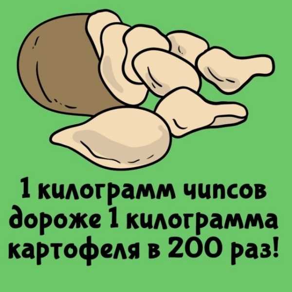 Минута отдыха Интересные короткие факты на все случаи жизни Интересное Минута отдыха Интересные короткие факты на все случаи жизни Интересное