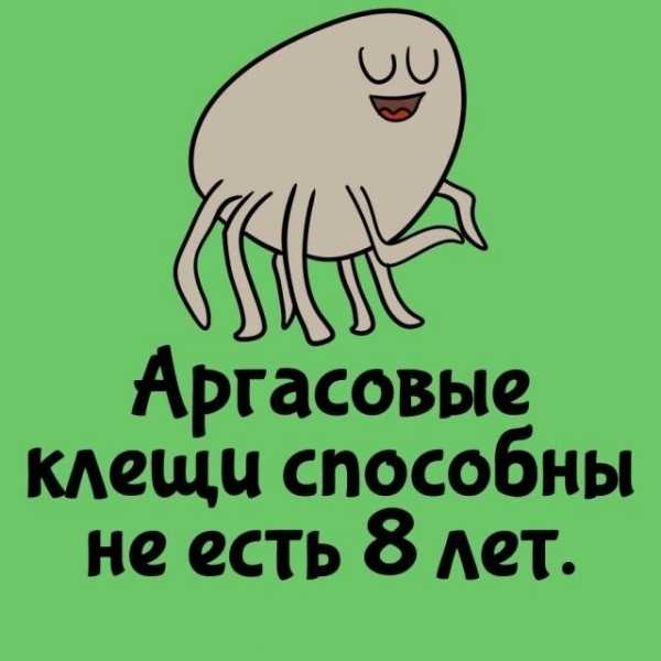 Минута отдыха Интересные короткие факты на все случаи жизни Интересное Минута отдыха Интересные короткие факты на все случаи жизни Интересное