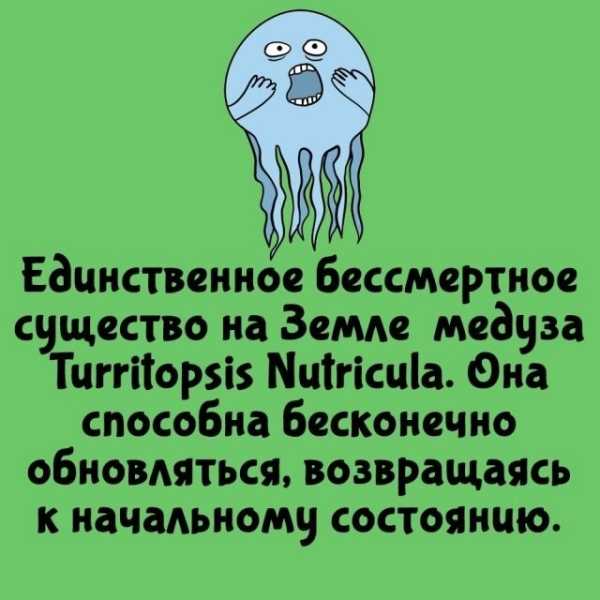 Минута отдыха Интересные короткие факты на все случаи жизни Интересное Минута отдыха Интересные короткие факты на все случаи жизни Интересное