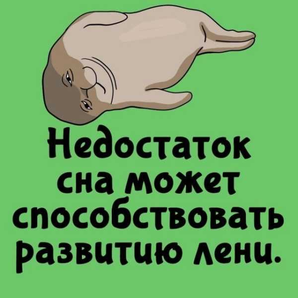 Минута отдыха Интересные короткие факты на все случаи жизни Интересное Минута отдыха Интересные короткие факты на все случаи жизни Интересное