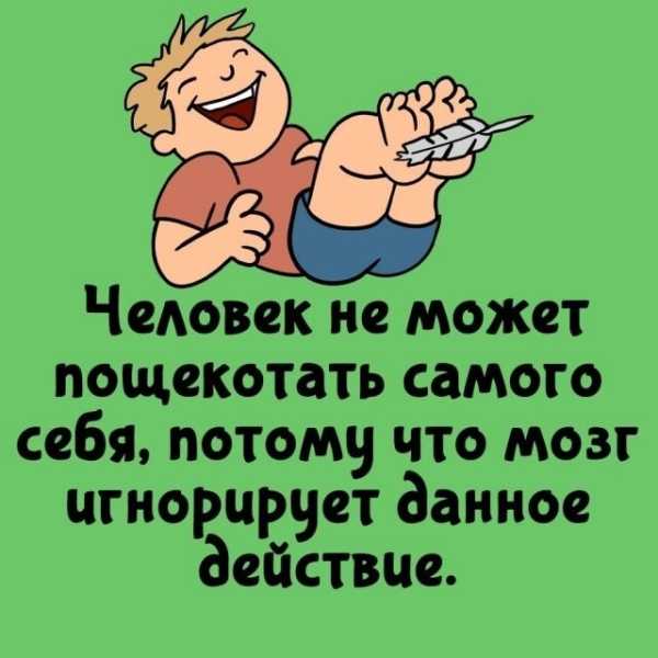 Минута отдыха Интересные короткие факты на все случаи жизни Интересное Минута отдыха Интересные короткие факты на все случаи жизни Интересное