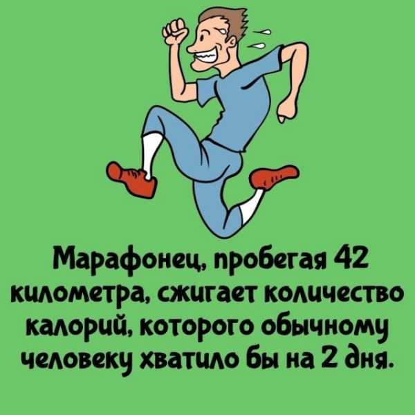 Минута отдыха Интересные короткие факты на все случаи жизни Интересное Минута отдыха Интересные короткие факты на все случаи жизни Интересное
